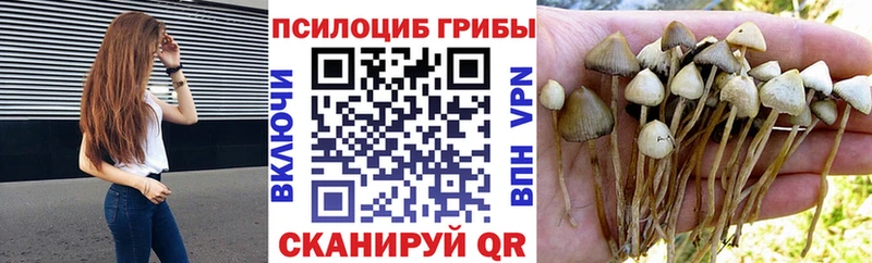 Псилоцибиновые грибы мухоморы Чишмы